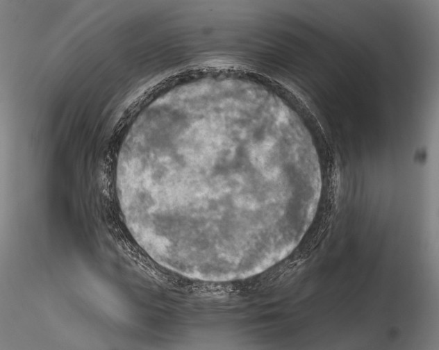 X0000114540823200911301159