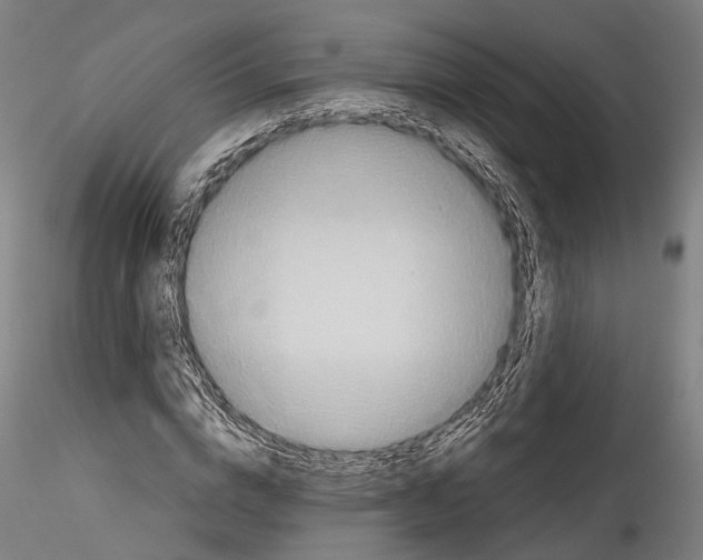 X0000114540824200911301159