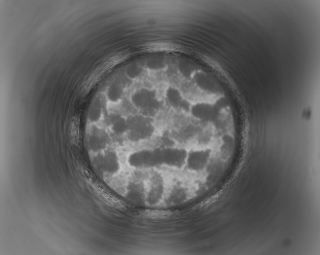 X0000114540825200911301159