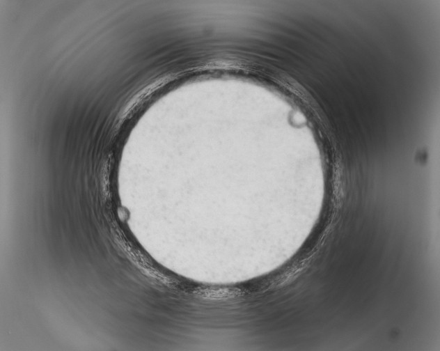 X0000114540826200911301159