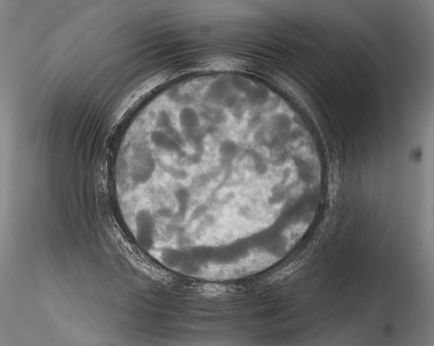 X0000114540827200911301159