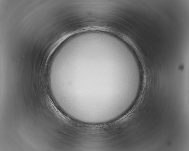 X0000114540828200911301159