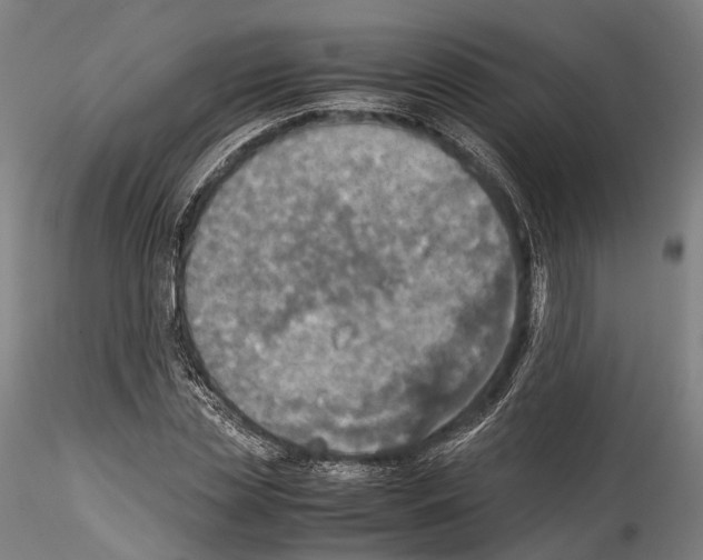 X0000114540829200911301200