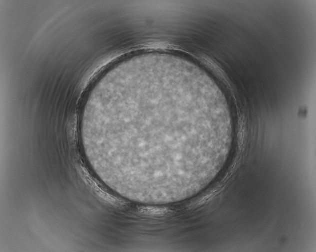 X0000114540831200911301200