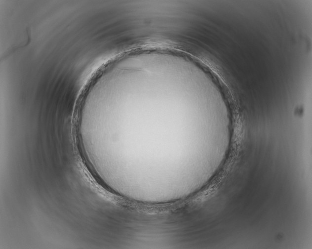 X0000114540832200911301200