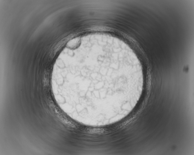 X0000114540833200911301200