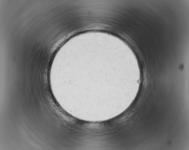 X0000114540834200911301200