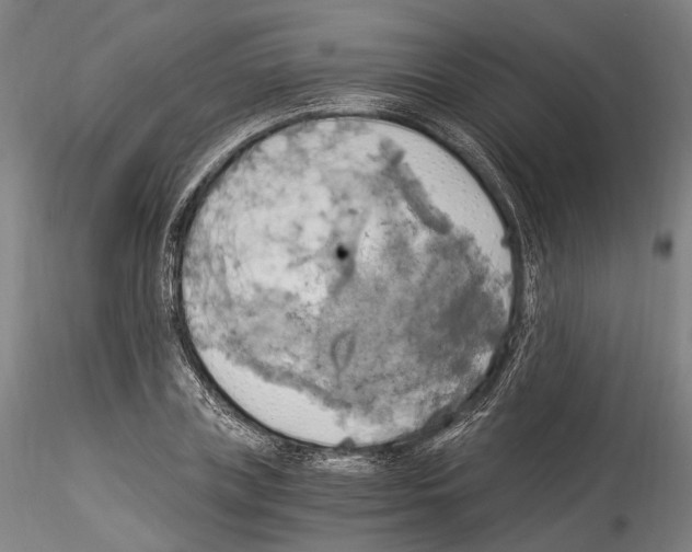 X0000114540835200911301200