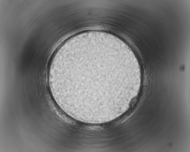 X0000114540837200911301200