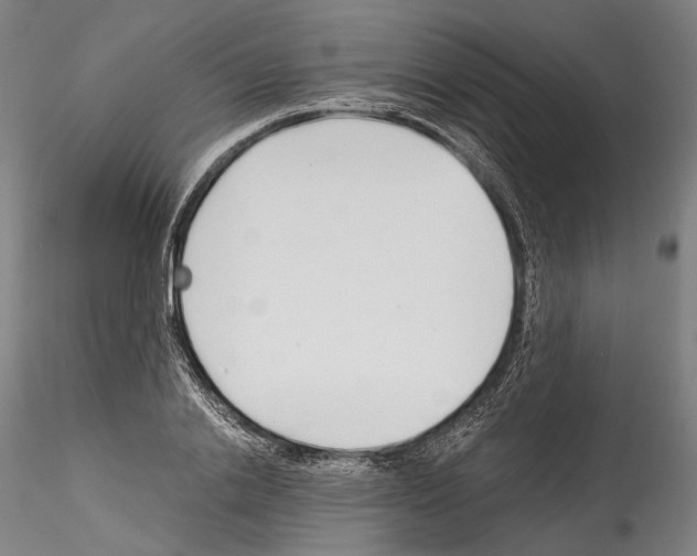 X0000114540838200911301200