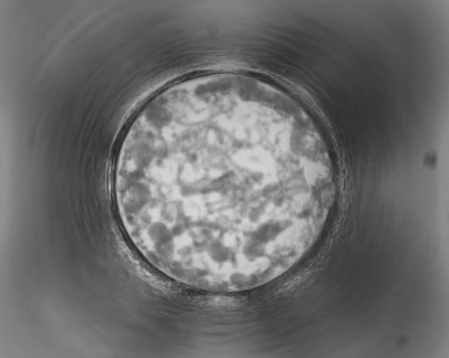 X0000114540839200911301200