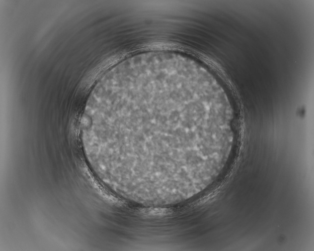 X0000114540841200911301200