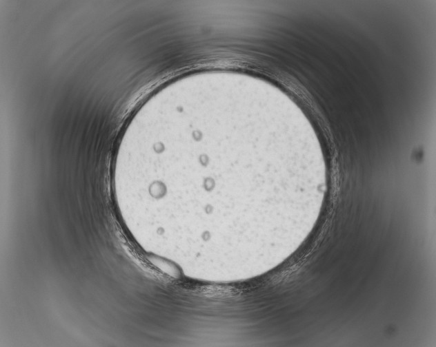 X0000114540842200911301200