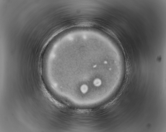 X0000114540843200911301200