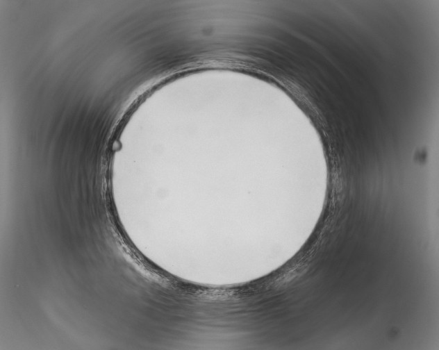 X0000114540846200911301200