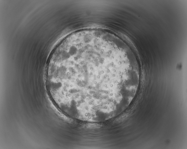 X0000114540847200911301200