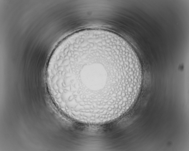 X0000114540848200911301200