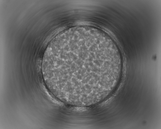 X0000114540849200911301200