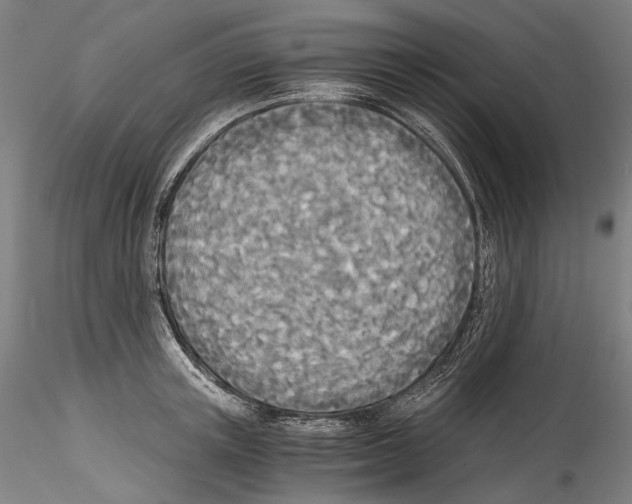 X0000114540851200911301200