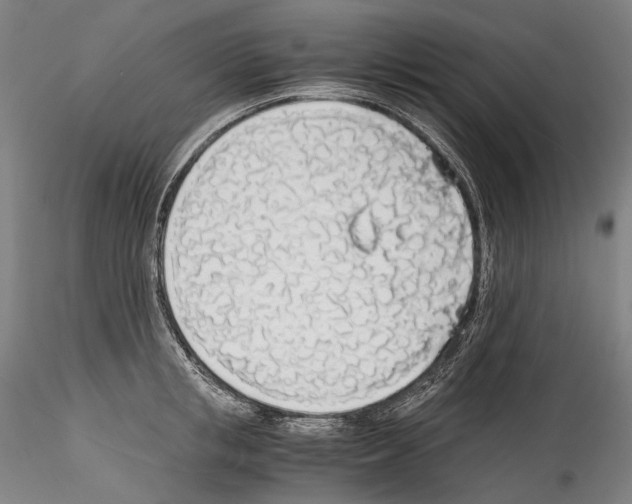 X0000114540853200911301200