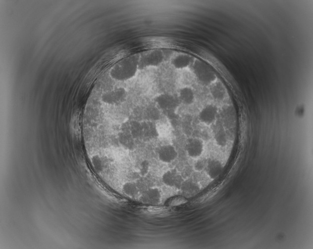 X0000114540857200911301200