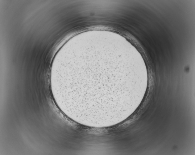 X0000114540860200911301200