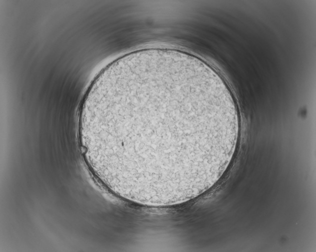 X0000114540862200911301200