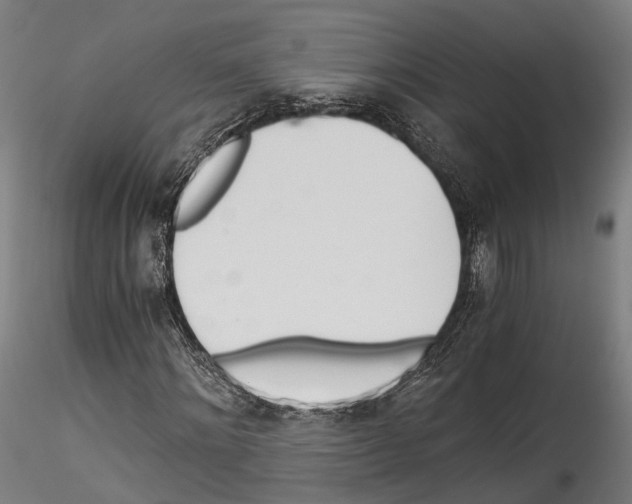 X0000114540868200911301159