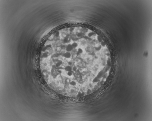 X0000114540871200911301159