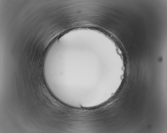 X0000114540873200911301159