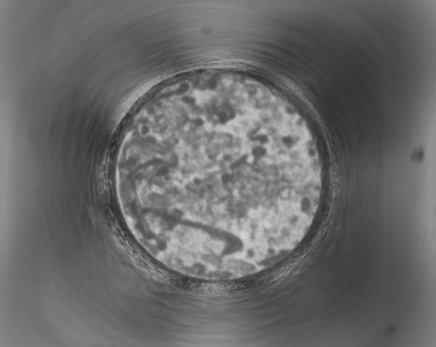 X0000114540875200911301159