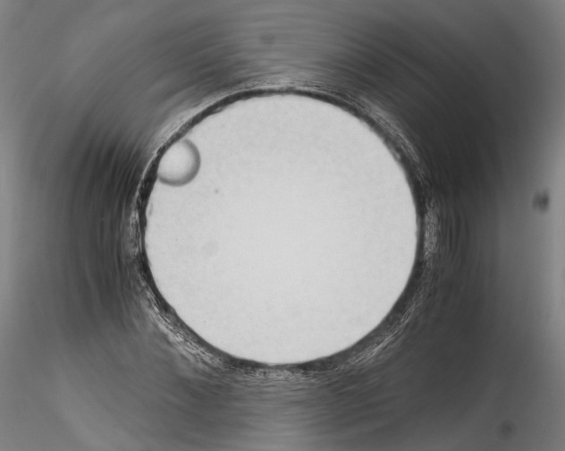 X0000114540876200911301159