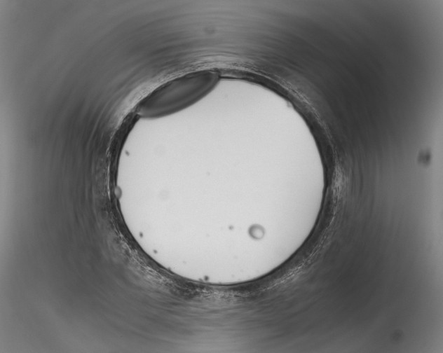 X0000114540877200911301159