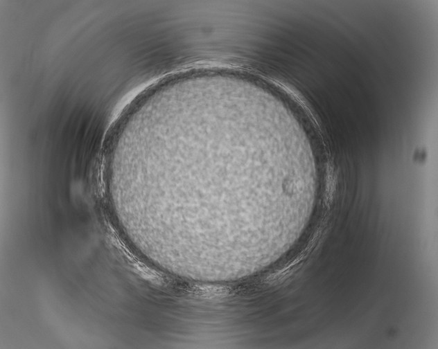 X0000114540878200911301159