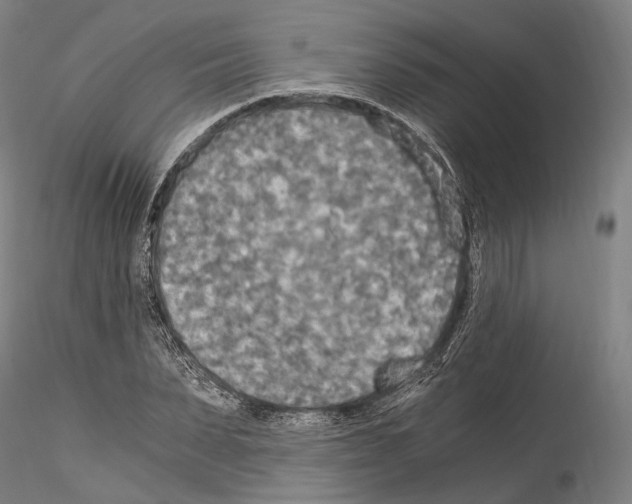 X0000114540879200911301159