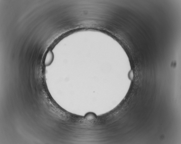 X0000114540880200911301159