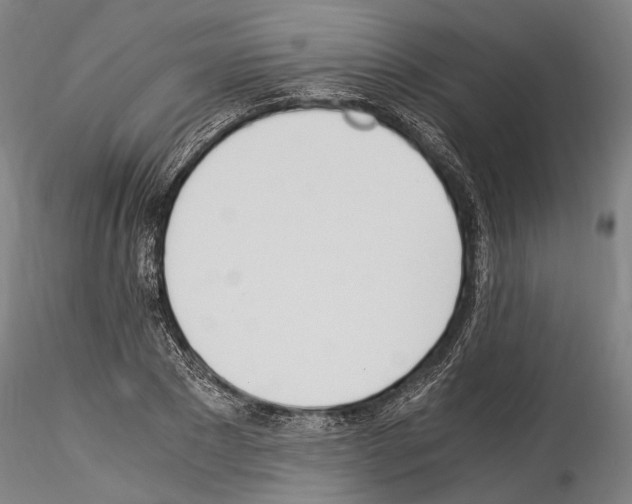 X0000114540881200911301159