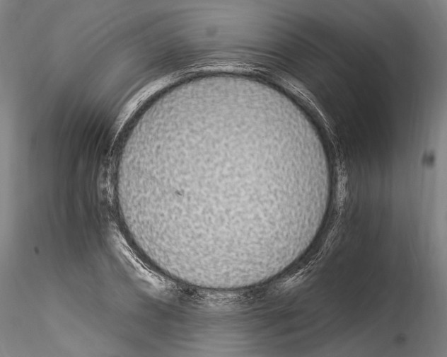 X0000114540882200911301159