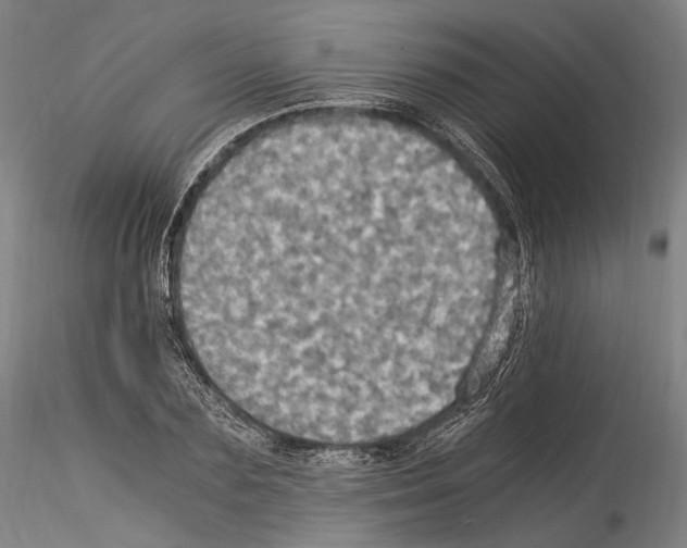 X0000114540883200911301159