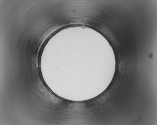 X0000114540884200911301159