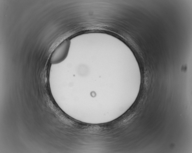 X0000114540885200911301159