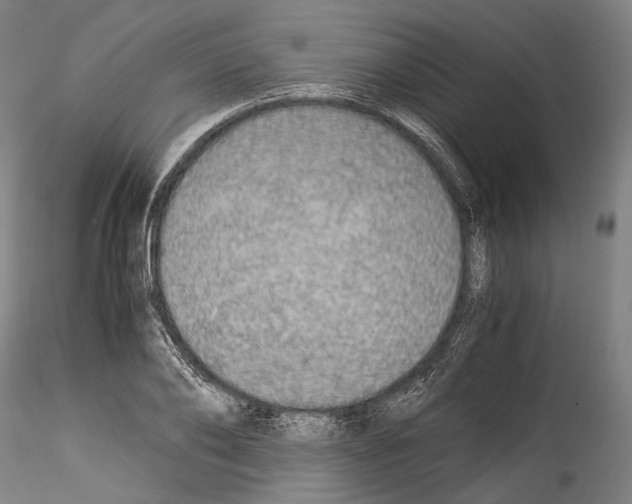 X0000114540886200911301159