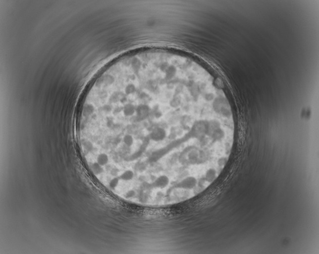 X0000114540887200911301159