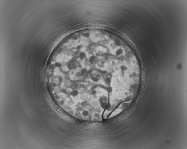 X0000114540891200911301159