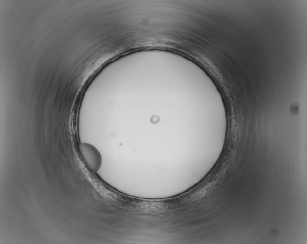 X0000114540893200911301159