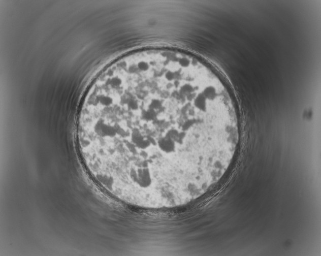 X0000114540895200911301159