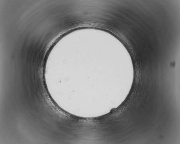 X0000114540896200911301159