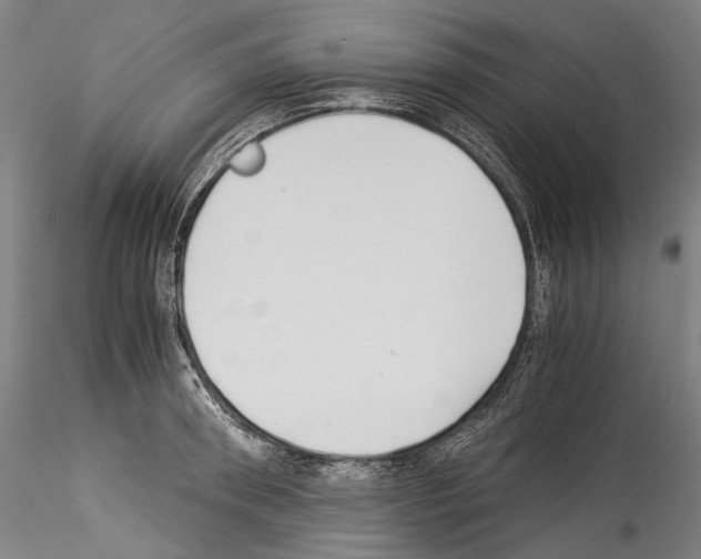 X0000114540898200911301159