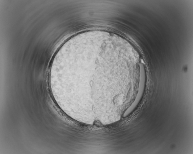 X0000114540899200911301159