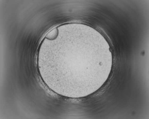 X0000114540900200911301159